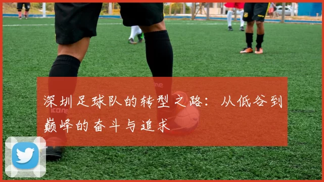 深圳足球队的转型之路：从低谷到巅峰的奋斗与追求