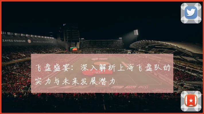 飞盘盛宴：深入解析上海飞盘队的实力与未来发展潜力