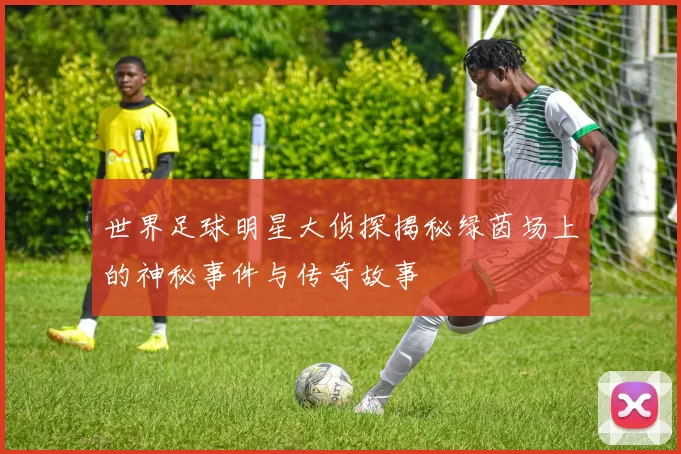 世界足球明星大侦探揭秘绿茵场上的神秘事件与传奇故事