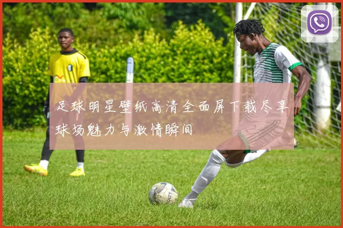 足球明星壁纸高清全面屏下载尽享球场魅力与激情瞬间