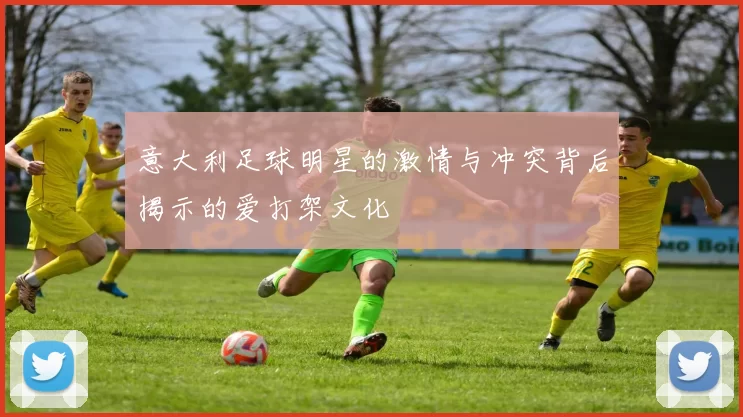 意大利足球明星的激情与冲突背后揭示的爱打架文化