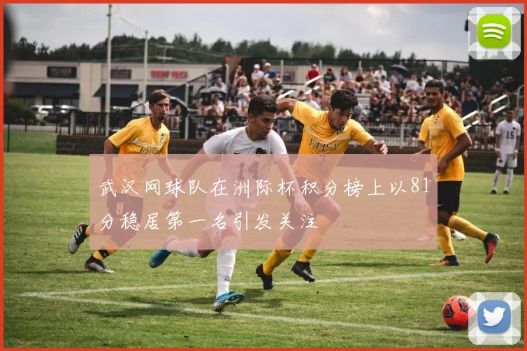 武汉网球队在洲际杯积分榜上以81分稳居第一名引发关注