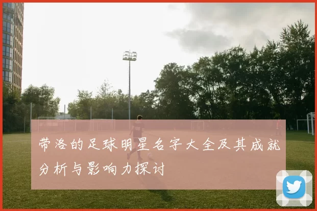 带洛的足球明星名字大全及其成就分析与影响力探讨
