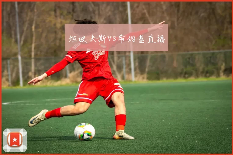 坦坡夫斯vs希姆基直播