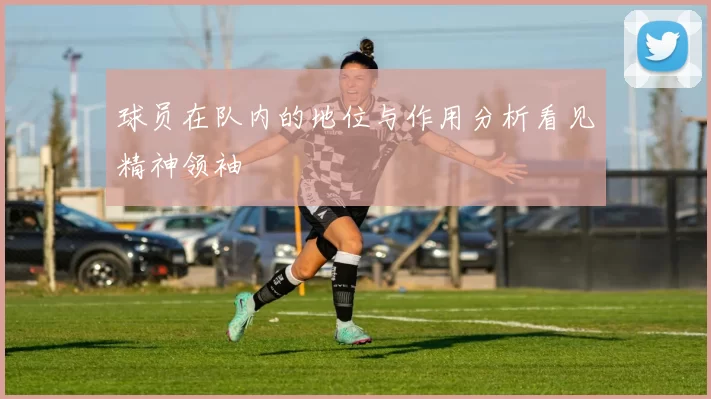 球员在队内的地位与作用分析看见精神领袖