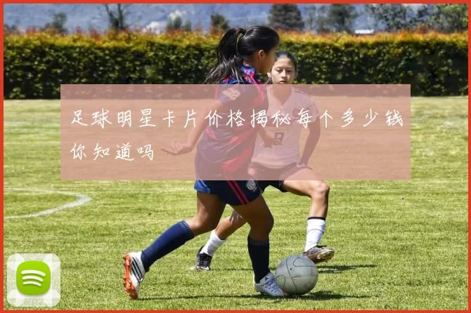 足球明星卡片价格揭秘每个多少钱你知道吗