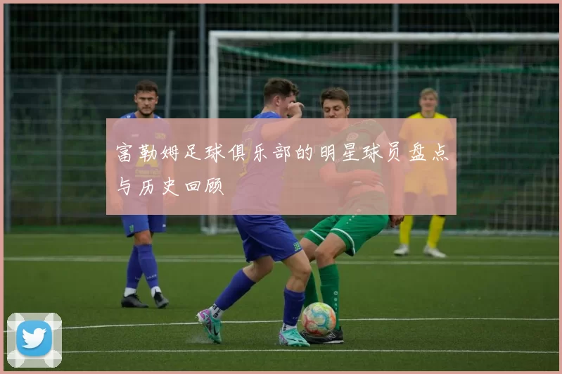 富勒姆足球俱乐部的明星球员盘点与历史回顾