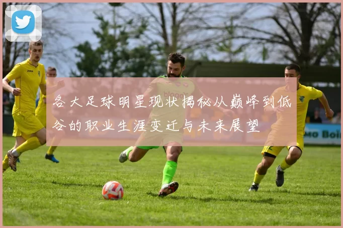 各大足球明星现状揭秘从巅峰到低谷的职业生涯变迁与未来展望