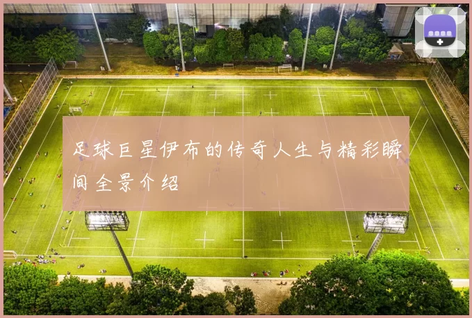 足球巨星伊布的传奇人生与精彩瞬间全景介绍