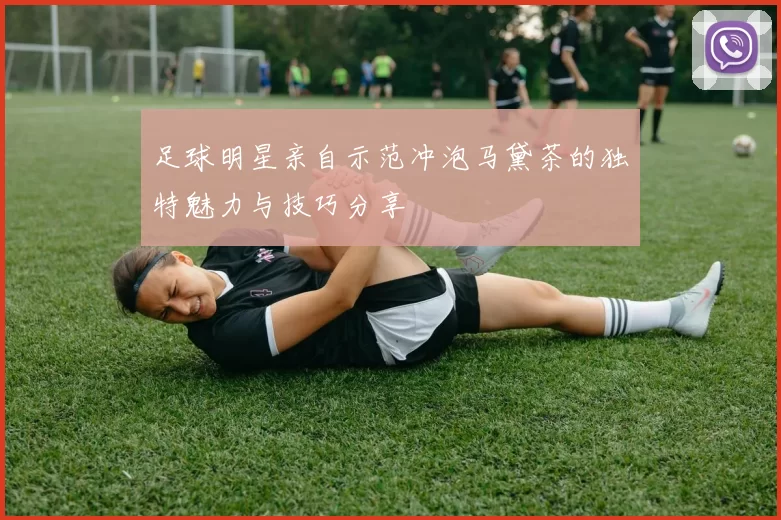 足球明星亲自示范冲泡马黛茶的独特魅力与技巧分享
