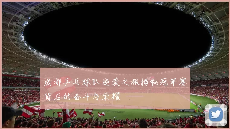 成都乒乓球队逆袭之旅揭秘冠军赛背后的奋斗与荣耀