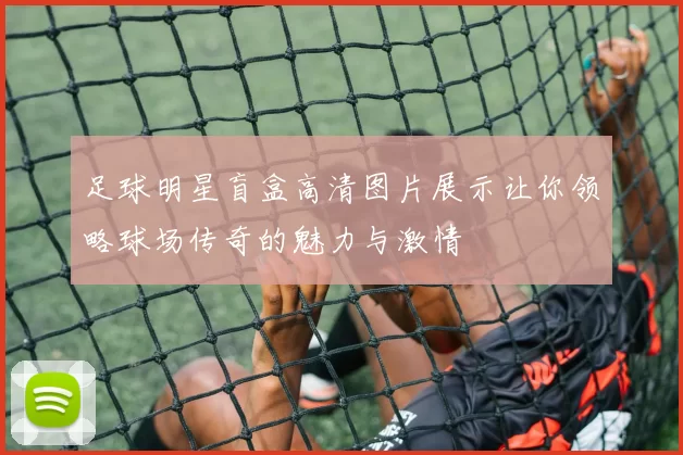 足球明星盲盒高清图片展示让你领略球场传奇的魅力与激情
