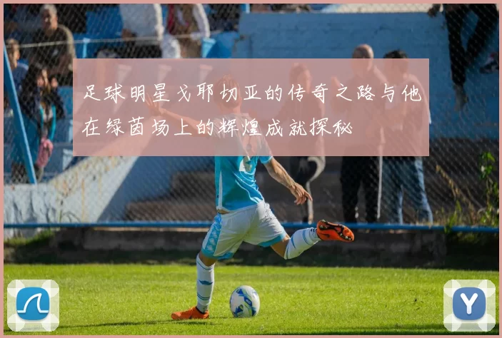 足球明星戈耶切亚的传奇之路与他在绿茵场上的辉煌成就探秘