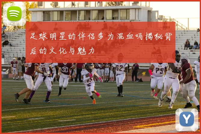 足球明星的伴侣多为混血吗揭秘背后的文化与魅力
