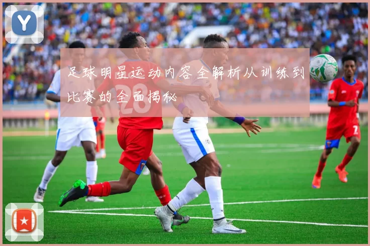 足球明星运动内容全解析从训练到比赛的全面揭秘