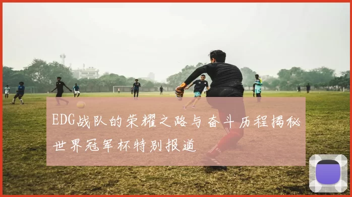 EDG战队的荣耀之路与奋斗历程揭秘世界冠军杯特别报道