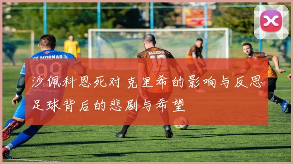 沙佩科恩死对克里希的影响与反思足球背后的悲剧与希望