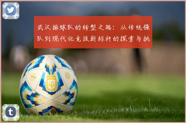 武汉排球队的转型之路：从传统强队到现代化竞技新标杆的探索与挑战