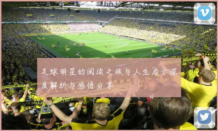 足球明星的阅读之旅与人生启示深度解析与感悟分享
