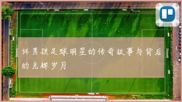 坏男孩足球明星的传奇故事与背后的光辉岁月