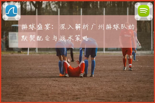 排球盛宴：深入解析广州排球队的默契配合与战术策略