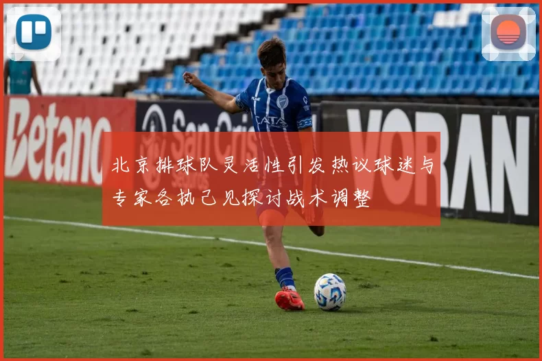 北京排球队灵活性引发热议球迷与专家各执己见探讨战术调整